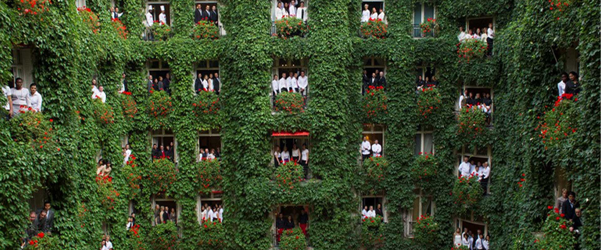 هتلهای سبز حامی محیط زیست و سلامتی نسلهای آینده
